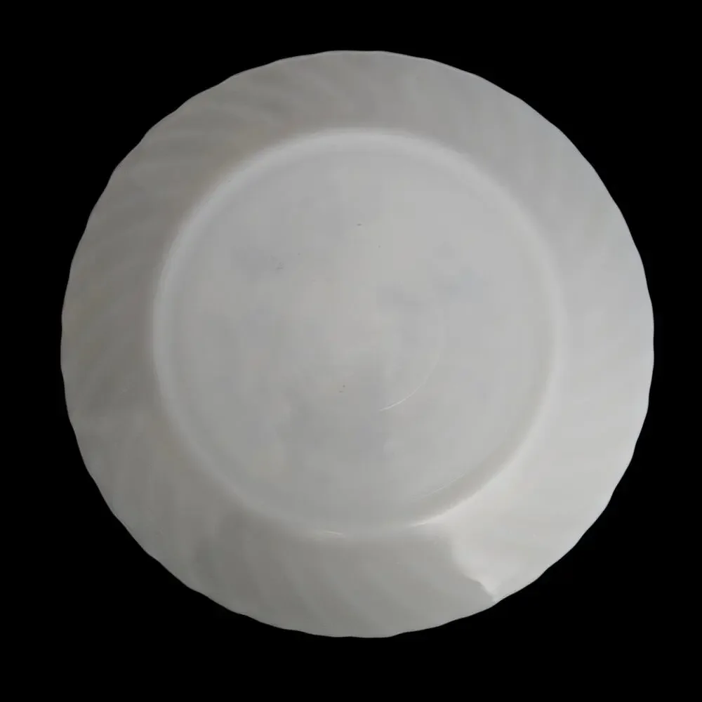 Vitro Mexico Dinner Plates Set of 4 White Blue Floral Swirl Rim